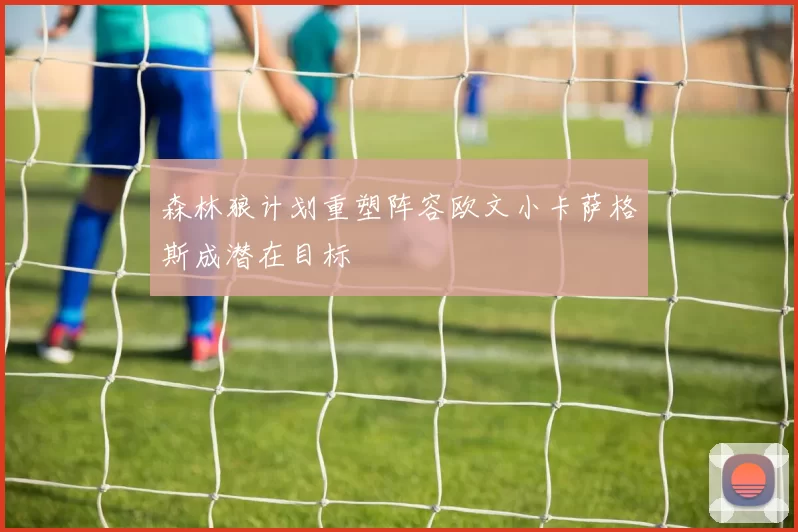 森林狼计划重塑阵容欧文小卡萨格斯成潜在目标